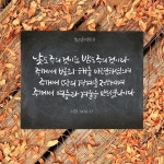 한승미 (우리 캘리 할까요?) (@han_seungmi_) | Instagram photos and videos | 사진