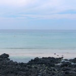 기도리의 모든 데일리룩은 기솔마켓 (♡˙︶˙♡) #에이블리#기솔마켓#데일리룩 | Instagram, Outdoor, Instagram posts