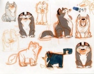 animal에 있는 서림 신님의 핀(이미지 포함) | 동물