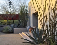 PC-8 by Steve Martino | 조경, 정원, 건축