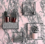 Pin by Raymond Heaney on 테라리움 in 2020