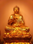 유여-buddhism~에 있는 핀
