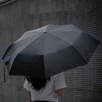 샤오미 공곡 우산 WD1 블랙 | 우산, 쇼핑
