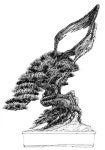 Pin oleh 강경량 di 켈리그림 | Sketsa, Bonsai