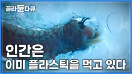 흙 대신 스티로폼을 먹기 시작한 갯지렁이, 인간의 밥상으로 올라오는 과정│다큐프라임│#골라듄다큐 - 2023 | 교육