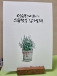 캘리그라피 문구 디자인에 있는 신 헤영님의 핀 | 수채화 엽서, 수채화 카드, 손글씨