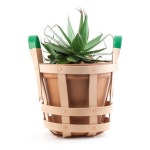 Easily carry your plant around with you(이미지 포함) | 화분, 가죽, 마크라메