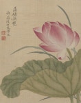 Yun Bing(恽冰) , 清 恽冰 花卉图 , 恽冰存世的作品很多，有故宫博物院藏《蒲塘秋艳图》、《华春双艳图》、《南山佳色图》、《紫藤月季图》... 