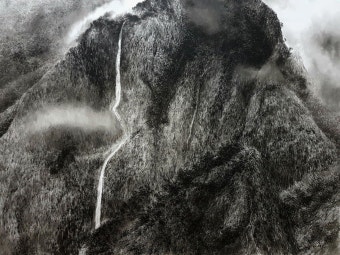 Park  hyun  ju-korea ( ink-and-wash painting 박현주 ) e-mail:alpaju2013@daum.net