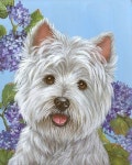 Westie Portrait - Dog Art by artist ?.?.?.?.?.?. ♥♥ | 강아지, 동물