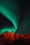 59 #Pictures of the #Northern Lights and #Aurora Australis ...(이미지 포함) | 오로라, 밤하늘, 자연