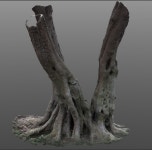 식생에 있는 Miri Kwon님의 핀 | 나무