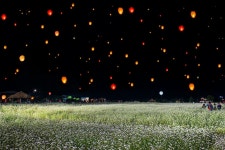 메밀꽃 밭에 풍등이 날라간다. 강원도 봉평. 작품=이형기 작가 facebook | 풍등