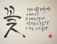 자세히 보아야 예쁘다 | 멋진 명언, 손글씨, 한국어