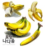 바나나 기초디자인 개체묘사 모음 | 원근법, 과일 그림, 그림