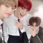 스테이가 좋아할 것 같아🌷🍭❣️⠀⠀#straykids #9 #STAY | Assexuado, Fandom, Divas