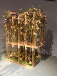 Philadelphia Flower Show 2019에 있는 Maria M3님의 핀 | 꽃
