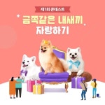 아이 이쁜거 모르는 사람 아무도 없으면 좋겠다 콘테스트를 진행합니다! - 나만 보기 아쉬운 귀엽고 사랑스러운 우리집 반려동물♥ 댕댕이... 