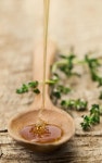 Honey & Thyme. | 꿀, 소스