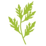 Top Dog Dies Leafy Branch Die | 자연, 강좌