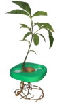 EasySeed | Indiegogo | 디자인