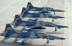 Northrop F-5 Tigers from the USAF and the Indonesian Air Force. | 항공