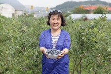 하은불루베리에서