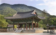 유여-buddhism~에 있는 핀