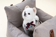 NTPET 니즈더펫 | 갤러리