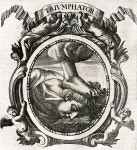 Пин на доске 점묘