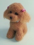 Pin by 장현경 on 장현경 | Teddy bear dog, Teddy bear, Bear dog