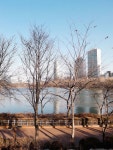 서울 잠실 석촌호수 서호 It is located in Seoul Jamsil, Korea. Seokchon Lake in front of Lotte World Tower | 블로그