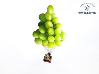 영화 up패러디 장면입니다. 너무 귀엽죠? 예비반 작품입니다^^ #닮은꼴발상 #발상 #포도 #청포도 #집 #성북창아 #성북창조의아침... 