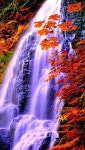 : Autumn Falls(이미지 포함) | 풍경 그림, 폭포, 자연 사진