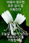 긍정적인 말에 있는 si kan kim님의 핀 | 좋은 아침 인사, 거실 가구... 있는 si  kan kim님의 핀 | 좋은 아침 인사, 거실 가구, 칼리그래피 아트