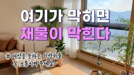 [풍수꿀팁 #131] 집안의 재물운을 높이고 싶은분들은 특히 이방위를 적극적으로 활용하세요!!! | 풍수, 뒤뜰 아이디어, 인테리어