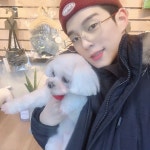 갔었던 바둑아 사랑해 가서 이쁘게 미용시키고 왔는데 졸귀탱이 돼서 왔다>< #바둑아사랑해 #견스타그램 #… | Ulzzang boy, Ulzzang, Boys