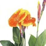 색연필 1 (colored pencil)에 있는 핀