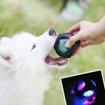반짝반짝 탱탱볼 충격을 받으면 반짝거리면서 빛나요. 강아지가 물면 소리가 나는 장난감 공이에요.  #강… - 2020 | 고양이 장난감, 강아지 장난감... 