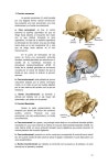 Pin de jmw8976 en 방문할 곳 | Anatomía, Anatomía humana, Odontología