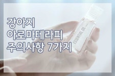 주의해야 할 강아지아로마 테라피 에센스 사용 주의사항 - 펫리코 Petrico 강아지아로마테라피 주의사항 7가지 | 에센스, 강아지