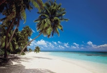 Brewster Wallpaper 8-240 Maldives Wall Mural | 풍경 사진, 해변, 장소