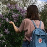칸켄테크코리아 주식회사 | Pin by 쵸림 CHORIM on [Accessories] | Kanken, Kanken backpack, Fjallraven kanken