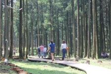 절물자연휴양림 | 여행지, 아름다운