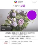 몸 치유 색깔의 비밀 컬러테라피 | 치유, 색