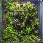 Image result for vivarium | 정원, 정원디자인, 디자인