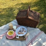 Pin by a leisurely on 좋아하는 부분 | Picnic, Cute food, Picnic basket