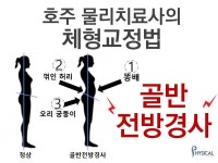 호주 물리치료사가 알려주는 체형교정법(골반 전방경사) | Exercise, Health, Home decor