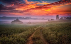 Morning of Farm - 안성목장