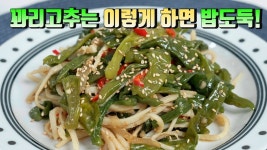 꽈리고추를 이렇게 만들면 소문난 반찬가게보다 더 맛있습니다👍 평생 칭찬받는 꽈리고추요리 - 2023 | 요리, 식품 아이디어, 한식